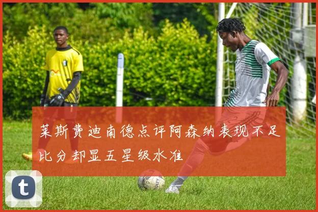 莱斯费迪南德点评阿森纳表现不足比分却显五星级水准