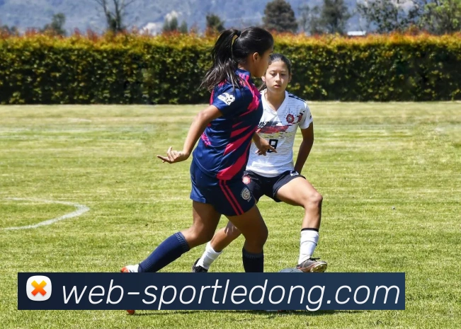 乐动体育服务体系