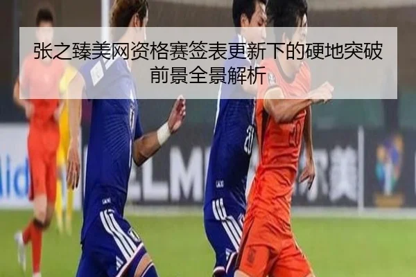 张之臻美网资格赛签表更新下的硬地突破前景全景解析 - LDSPORTS