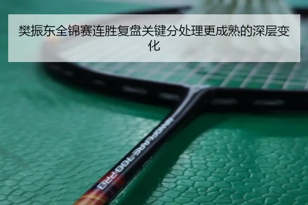 樊振东全锦赛连胜复盘关键分处理更成熟的深层变化 - LDSPORTS